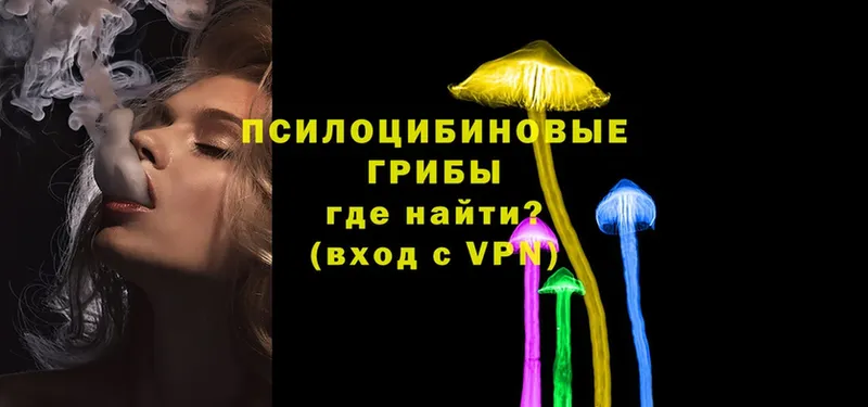 Псилоцибиновые грибы Magic Shrooms  как найти закладки  Сольцы 